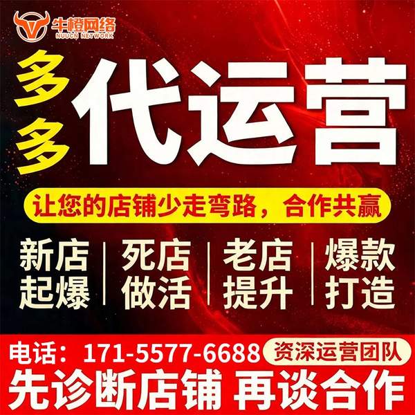 酒泉电商代运营