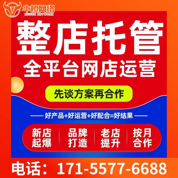 酒泉电商代运营