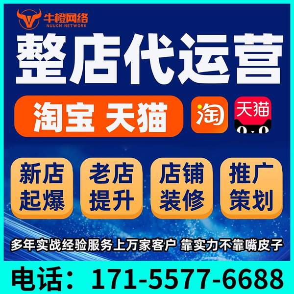酒泉电商代运营