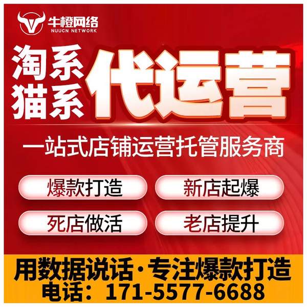 酒泉电商代运营